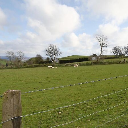 Bryntrisant Villa Devils Bridge Luaran gambar