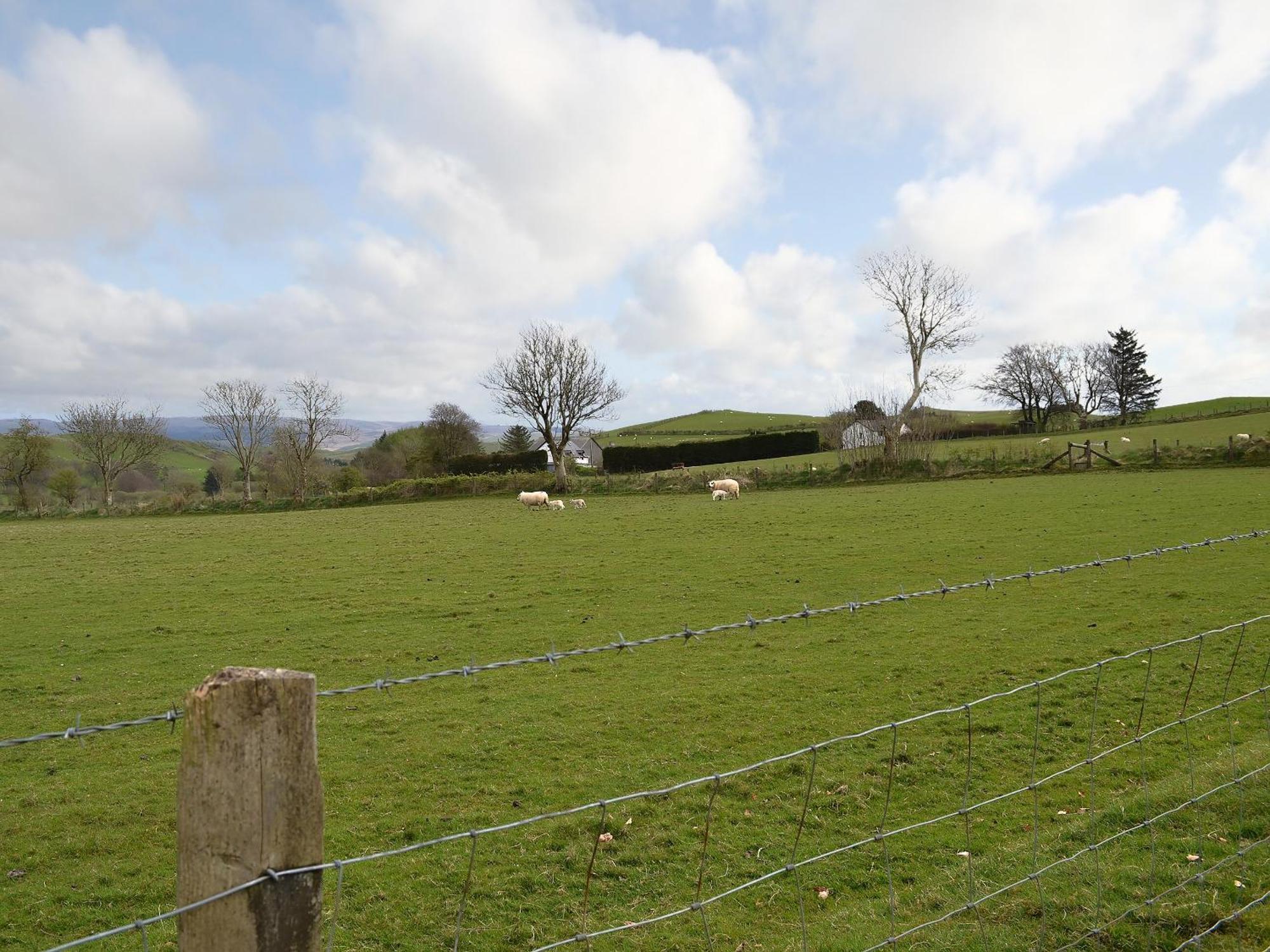 Bryntrisant Villa Devils Bridge Luaran gambar